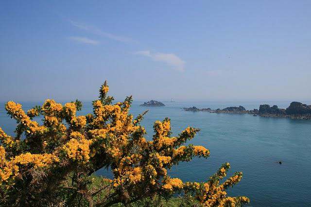 Un petit tour par la bretagne