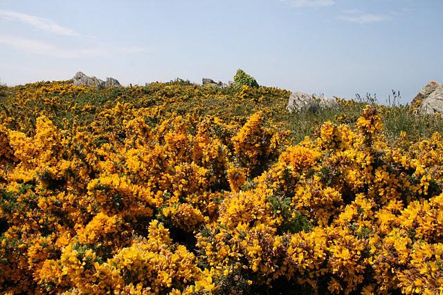 Un petit tour par la bretagne