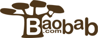 « Baobab veut faciliter le bouche à oreille sur le web » – Interview des fondateurs