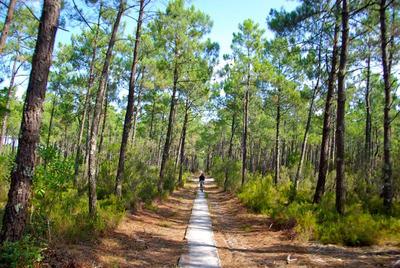 La liberté, le plaisir, la qualité
