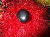 des bagues nommées Désir