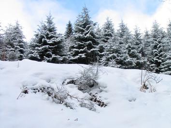 Coup de froid cette semaine avec neige à basse altitude en fin de semaine ?