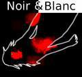 "Noir Blanc" d'Elisabeth Henry
