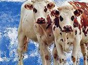 mauvais tics médiatiques.