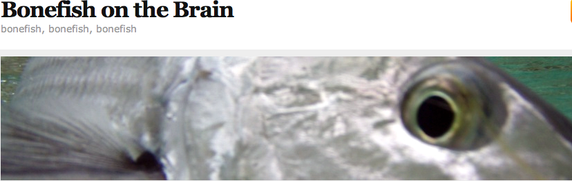 BONEFISH, BONEFISH, BONEFISH.