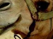 Camel cosmétiques sans tabac...mais lait