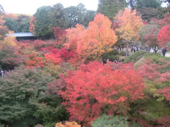 Une journée a Kyoto