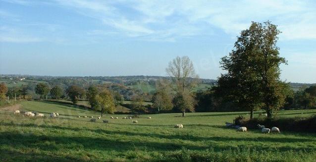 Vallée du Cher - Allier