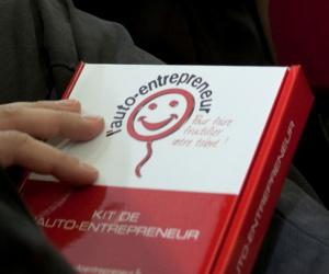 L'auto-entreprise : une solution limitée ?