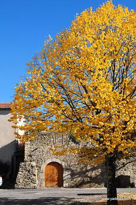 Lumières d'automne : la place de Celas, Mons