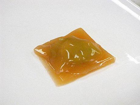 TOURTE AUX MYRTILLES DES PYRÉNÉES et SALON DU BLOG CULINAIRE 2010 Cheesecake-citron-et-myrtilles 7455