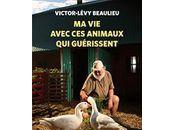 avec animaux guérissent