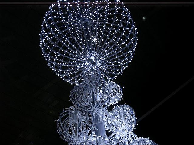 de la famille des lucioles