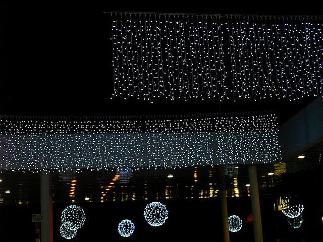 de la famille des lucioles