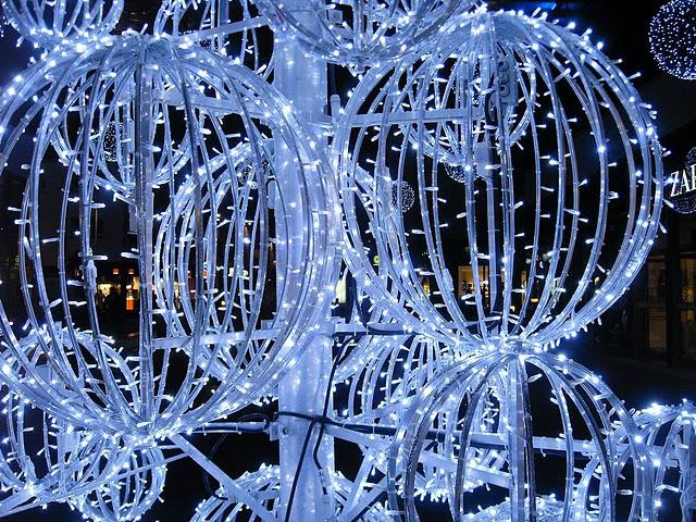 de la famille des lucioles