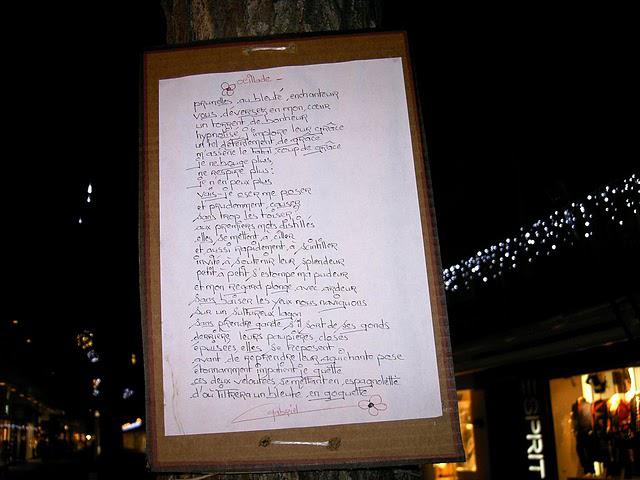 de la famille des lucioles