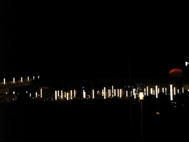 de la famille des lucioles