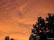 Lumières d'automne couché soleil