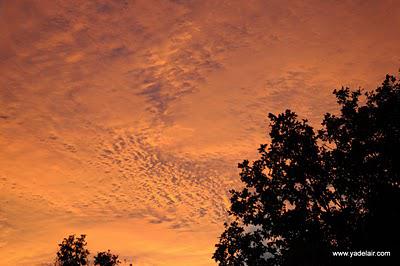 Lumières d'automne au couché de soleil