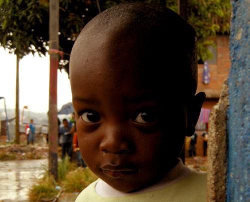 D’autres gueules colorées de stinkfish