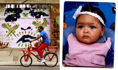 D’autres gueules colorées de stinkfish