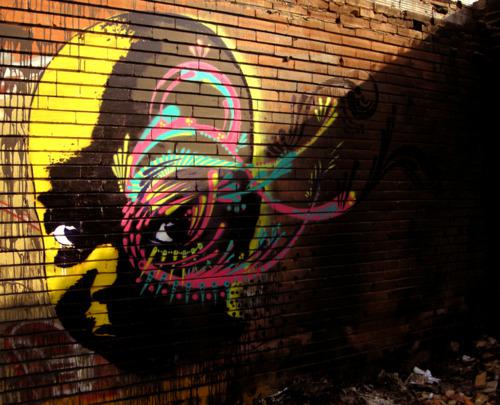 D’autres gueules colorées de stinkfish