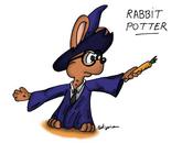 Rabbit Potter