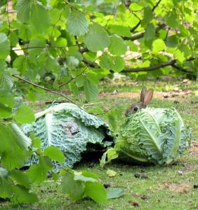 Mais que fait la mère bordel???
