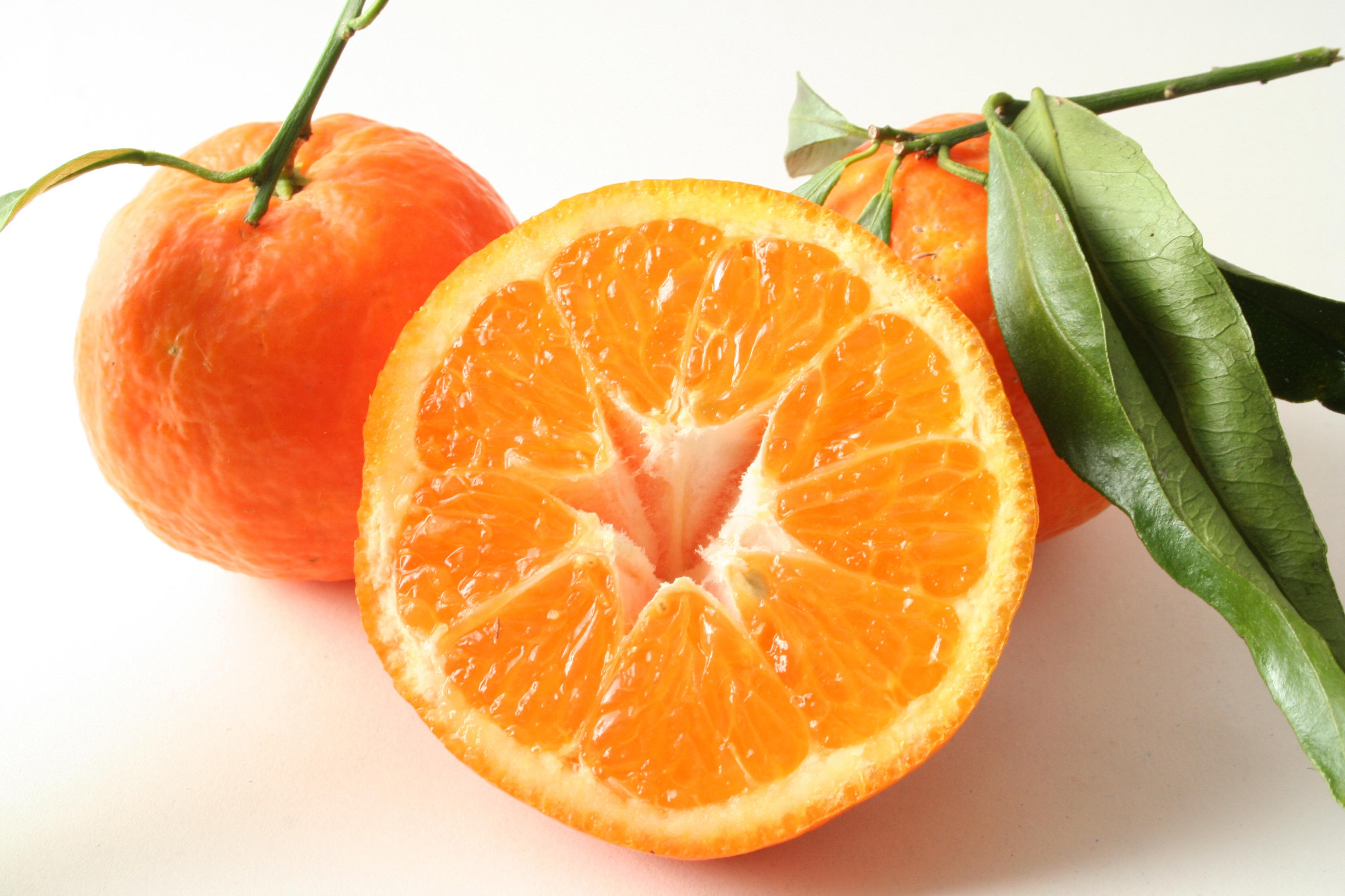 Actualité derniers articles