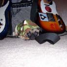 thumbs droles d animaux 037 Animaux Droles du Jour (37 photos)