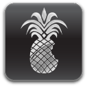 Jailbreak 4.2.1 RedSnow 0.9.6b4 – iPhone, iPad et iPod Touch