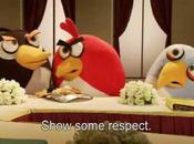 Viral Friday #16, vidéos virales semaine