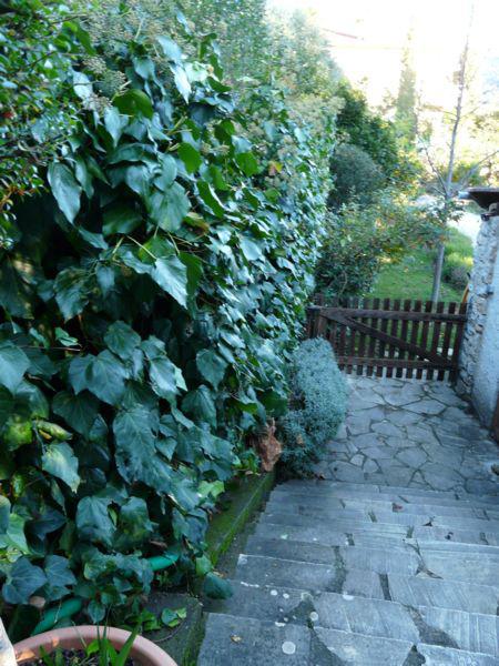 L'hiver se fait sentir : journaux des 19 et 26 novembre 2010