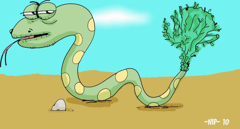 serpentin___copie