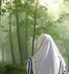 Dans la forêt 1.jpg