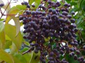 Novembre 2010 changement saison