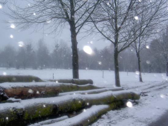 Journal d'une âme : Premiers flocons (27-10-2010) 12h37