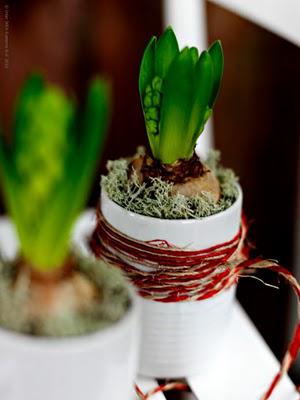 Le compte à rebours peut commencer