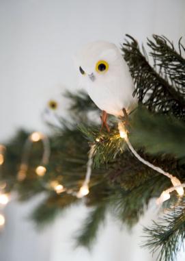 Le compte à rebours peut commencer