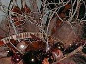 ateliers d'hiver avec Fées Nature