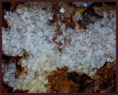 Ici, pas de neige , juste de la grêle...mais vu les tempé...