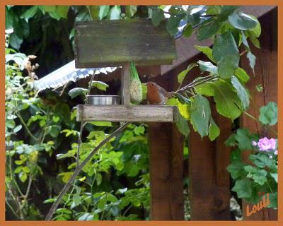 Ici, pas de neige , juste de la grêle...mais vu les tempé...