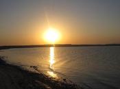 Apprends-nous attendre, Jean Debruynne