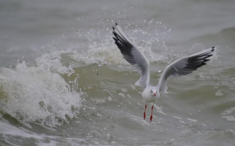 Je pénètre dans la lumière (Jean-Baptiste Besnard)