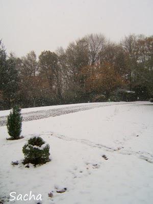 Premiers flocons ..Cake au caramel