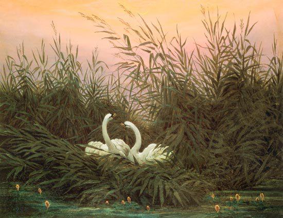 Rivage (Stefan George)