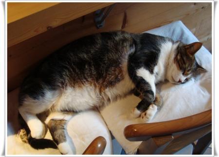 28 novembre 2010, repos à Meschers