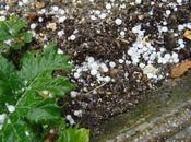 novembre 2010, repos Meschers