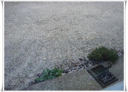 28 novembre 2010, repos à Meschers