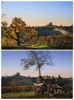JCEM - Dîner d'affaires sur le thème : Mieux connaître le vin